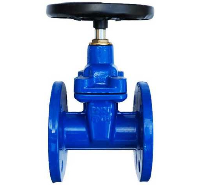 Засувка чавунна з обгумованим клином 30ч39р Ду100 Ру16