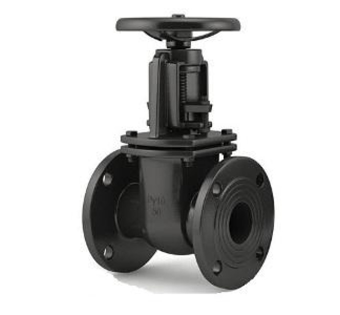 Засувка чавунна паралельно клинова 30ч6бр Ду250 Ру16