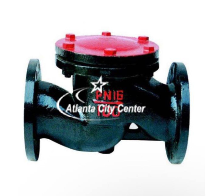 Клапан зворотній фланцевий 16ч6нж підйомний Ру 16 Ду 250